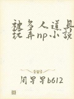 被多人道具调教玩弄np小说封面