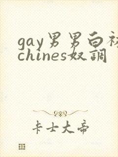 gay男男白袜chines奴调封面