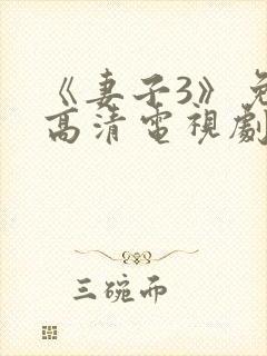 《妻子3》免费高清电视剧完整版封面