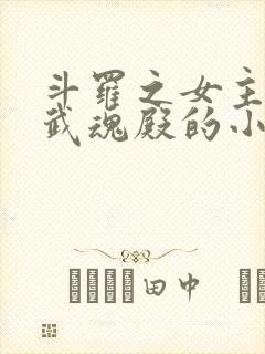 斗罗之女主加入武魂殿的小说