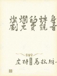 灿烂的转身电视剧免费观看全集高清