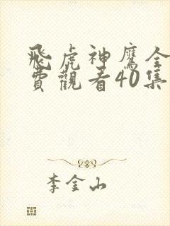 飞虎神鹰全集免费观看40集