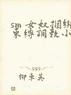 sm 女奴捆绑束缚调教小说