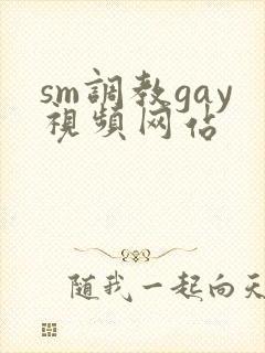 sm调教gay视频网站