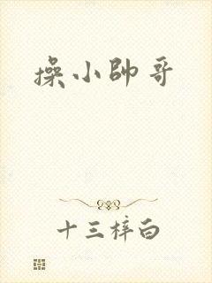 操小帅哥封面