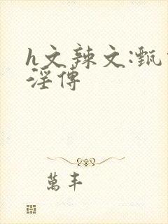 h文辣文:甄宓淫传