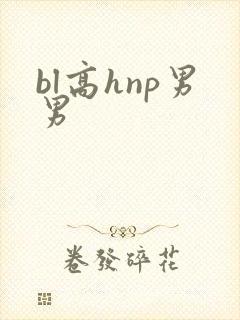 bl高hnp男男