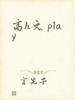 高h文 play