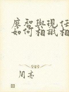 廖智与现任丈夫如何相识相恋封面