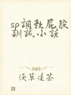 sp调教屁股上训诫小说