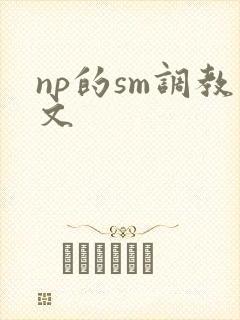 np的sm调教文