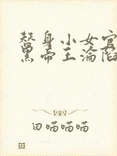 替身小女官,腹黑帝王沦陷了江清慈小说