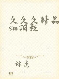 久久久精品国产sm调教