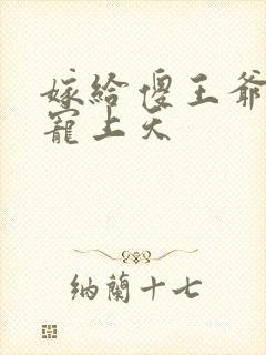 嫁给傻王爷后被宠上天