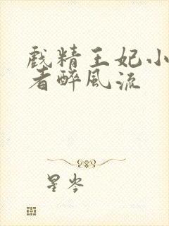 戏精王妃小说作者醉风流