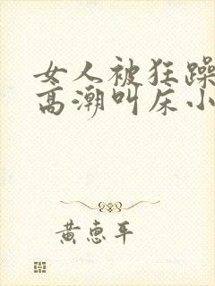 女人被狂躁c到高潮叫床小说封面
