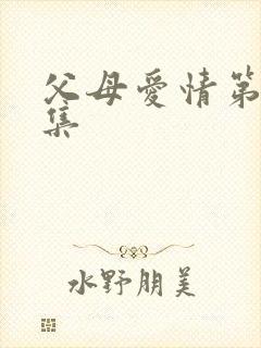 父母爱情第17集