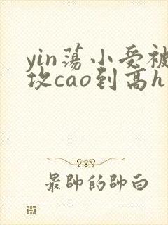 yin荡小受被攻cao到高h