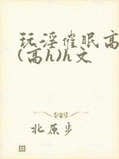 玩淫催眠高中生(高h)h文