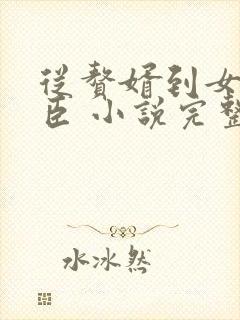从赘婿到女帝宠臣 小说完整