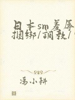 日本sm羞辱/捆绑/调教/束缚
