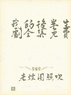 我的后半生电视剧全集免费观看