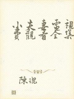 小夫妻电视剧免费观看全集完整版高清
