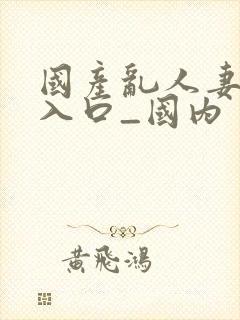 国产乱人妻精品入口_国内