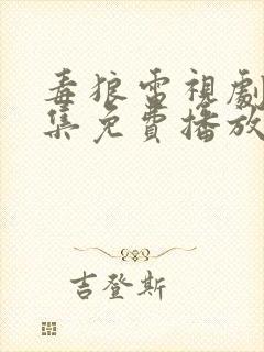 毒狼电视剧45集免费播放