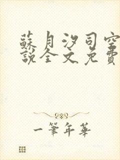 苏月汐司空靖小说全文免费阅读