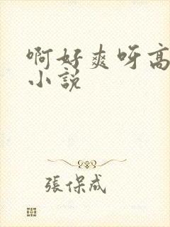 啊好爽呀高潮了小说