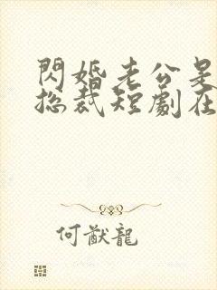 闪婚老公是亿万总裁短剧在线观看