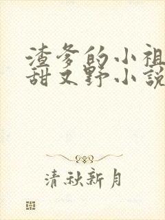 渣爹的小祖宗又甜又野小说下载txt