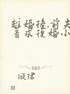 离婚后,前夫哭着求复婚小说正版