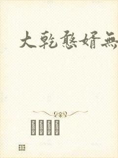 大乾憨婿无弹窗封面
