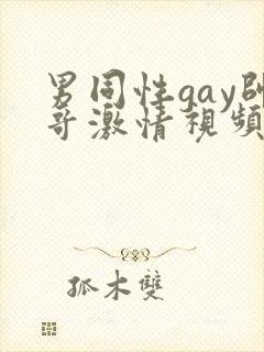 男同性gay帅哥激情视频封面