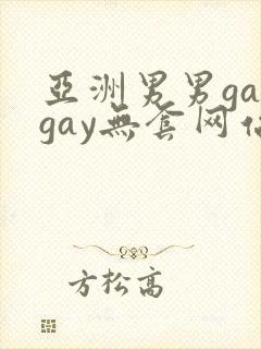 亚洲男男gaygay无套网站