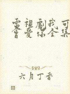 电视剧我可能不会爱你全集在线观看封面