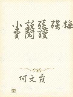小说张强梅姨免费阅读