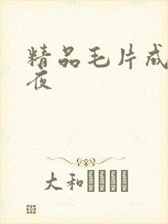 精品毛片成人午夜