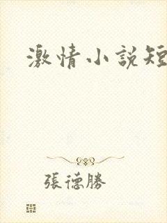 激情小说短篇