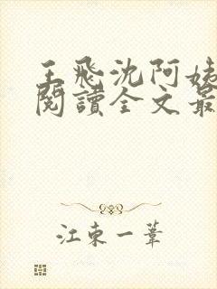 王飞沈阿姨免费阅读全文最新章节封面