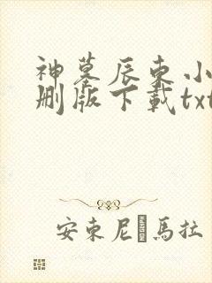 神墓辰东小说未删版下载txt