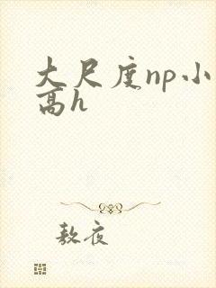大尺度np小说高h