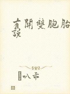 有关双胞胎的小说