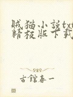 贼猫小说txt精校版下载