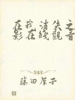 在我消失之前电影在线观看免费播放