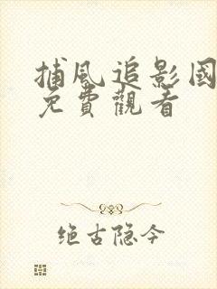 捕风追影国语版免费观看