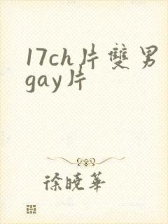 17ch片双男gay片