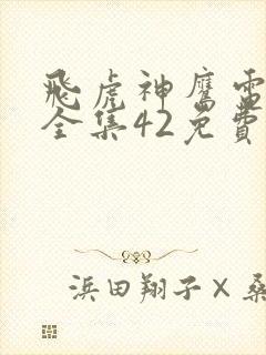 飞虎神鹰电视剧全集42免费观看